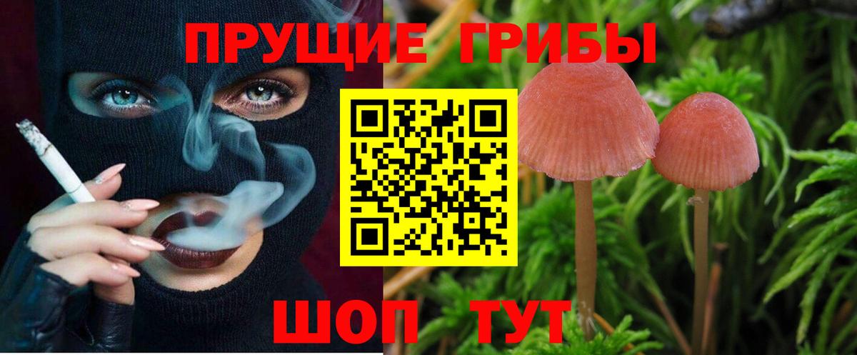 Электрогорск  Псилоцибиновые грибы Cubensis  Псилоцибиновые грибы Magic Shrooms  продажа наркотиков  Вход с VPN 